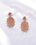 Elegant crystal earring_3 colors