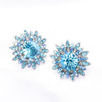 Elegant Round Crystal & Flower Earring_8 colors