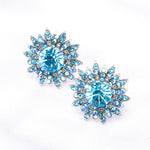 Elegant Round Crystal & Flower Earring_8 colors