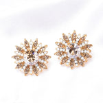 Elegant Round Crystal & Flower Earring_8 colors