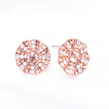 Elegant Round Crystal Fancy Earring_4 colors