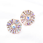 Elegant Round Crystal Fancy Earring_4 colors