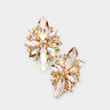 Charming Crystal Stud Earring_18 colors