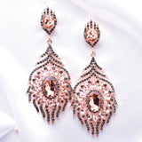 Elegant oval fancy crystal mane earring_6 colors