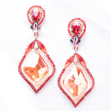 Victorian fancy Crystal Earring_8 colors