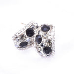 Classic Hoop Fancy Crystal Earring_2 colors